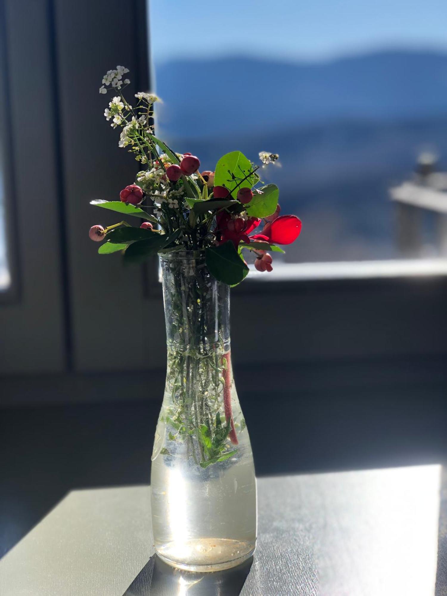 Katikia Zagori Hotel Vitsa ภายนอก รูปภาพ