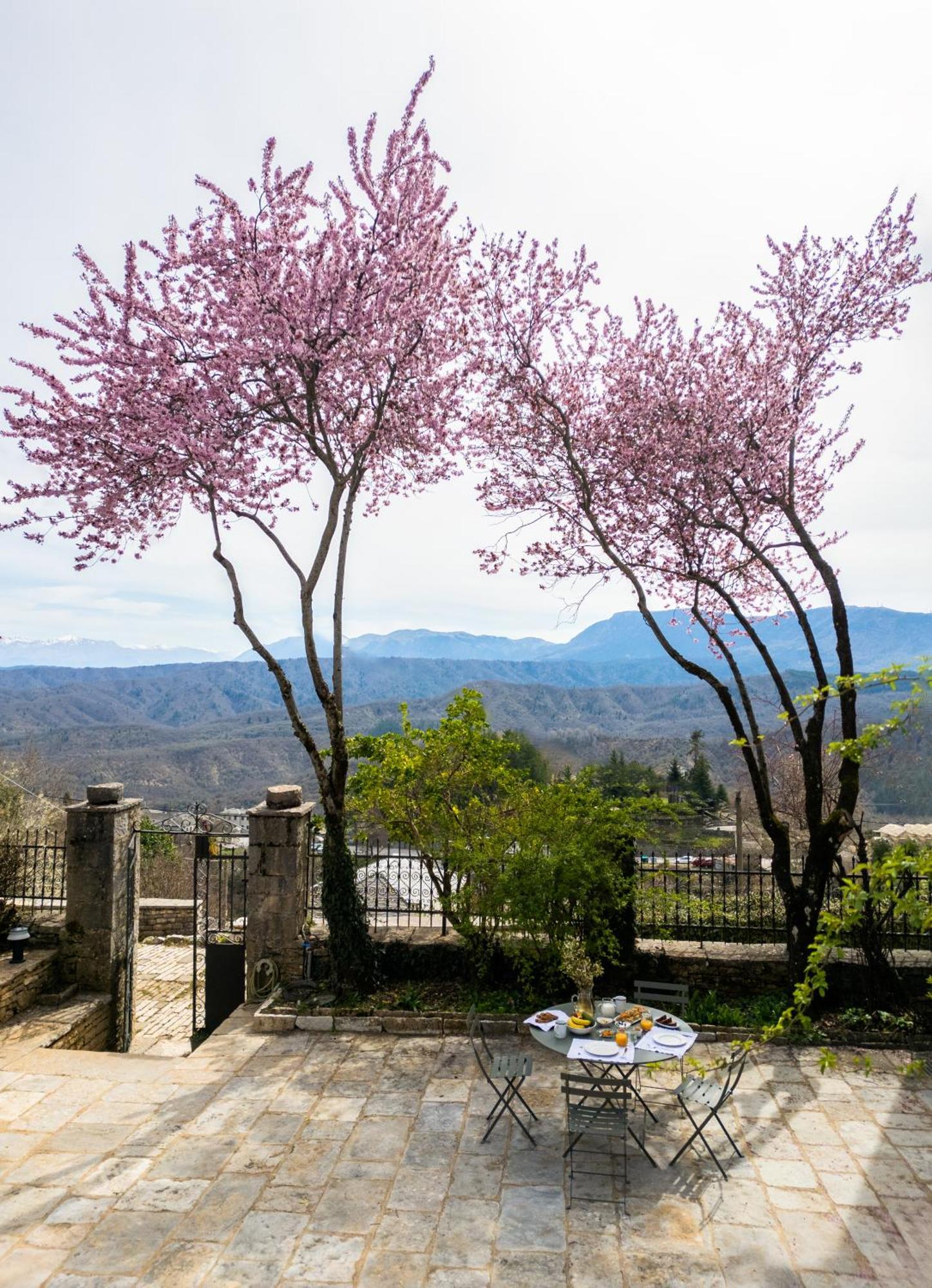Katikia Zagori Hotel Vitsa ภายนอก รูปภาพ