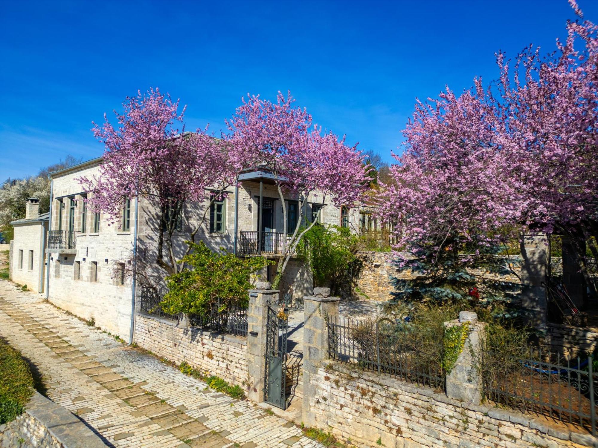 Katikia Zagori Hotel Vitsa ภายนอก รูปภาพ